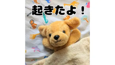 【寝かしつけ】もういいかな？から5分待ってみた