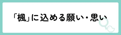 「楓」の意味や由来は?名前に込められる思いや名付けの例を紹介!