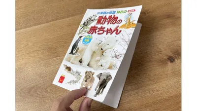 手のひらサイズの小さな図鑑。読みながら会話したり、クイズを出し合ったりして楽しめます