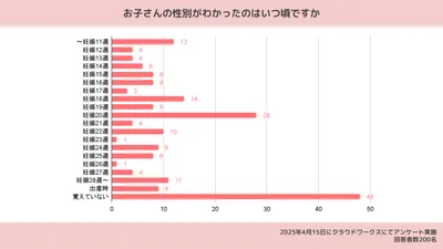 【医師監修】赤ちゃんの性別はいつわかる？男の子・女の子それぞれの判明時期は？