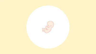 胎児とは?受精卵からどう変わる?意味や定義のほか時期別の成長過程も解説!