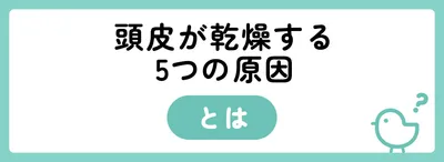 頭皮が乾燥する5つの原因
