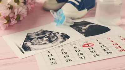【医師監修】赤ちゃんの性別はいつわかる？男の子・女の子それぞれの判明時期は？