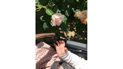 赤ちゃんとのお出かけ先に植物園がおすすめな理由3つ