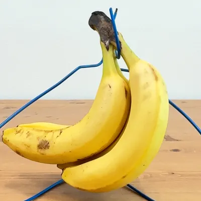 バナナを無駄なく美味しく楽しもう