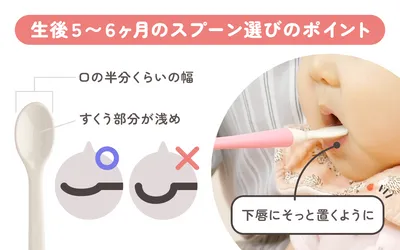 離乳食初期:生後5〜6ヶ月