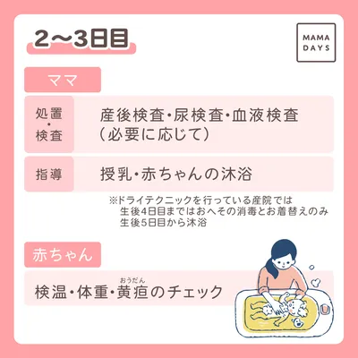 2~3日目