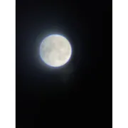 十五夜の楽しみ方｜準備は最小限で子どもと月を見上げる過ごし方と声かけ