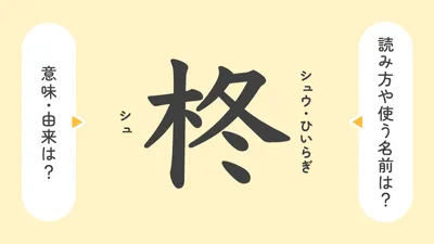 「柊」の意味や由来は?名前に込められる思いや名付けの例を紹介!