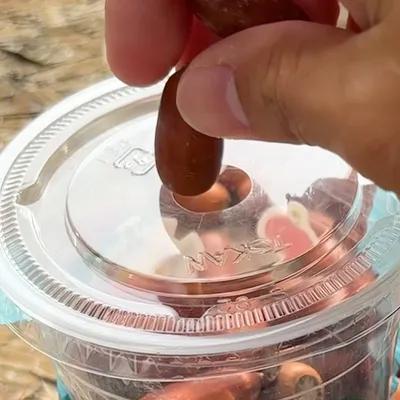 拾ったあとの虫対策もそのままでOK