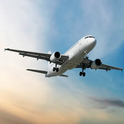 【医師監修】妊婦が飛行機に乗れるのはいつから?いつまで乗れる?リスクはある?