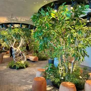 ベビー連れにも安心！この秋オープンしたニュウマン高輪のベビー関連情報