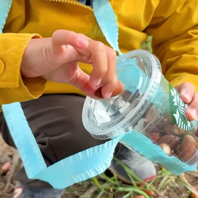 スタバカップでどんぐり拾いをもっと楽しく!