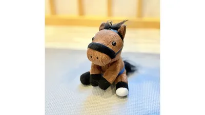 夫が選んだ馬のマスコット。これを土台に吊るします