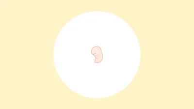 【医師監修】妊娠10週(3ヶ月)の妊婦・胎児の様子|過ごし方や気になる症状