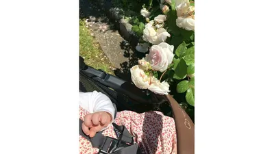 赤ちゃんとのお出かけ先に植物園がおすすめな理由3つ