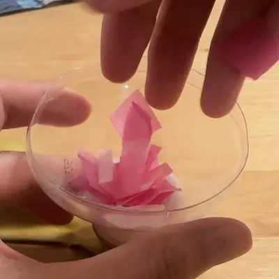 経験者が感じた「やってよかった！」の声