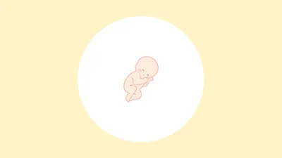 胎児とは?受精卵からどう変わる?意味や定義のほか時期別の成長過程も解説!