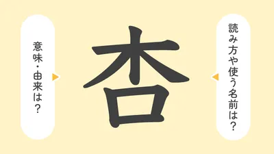 「杏」の意味や由来は?名前に込められる思いや名付けの例を紹介!