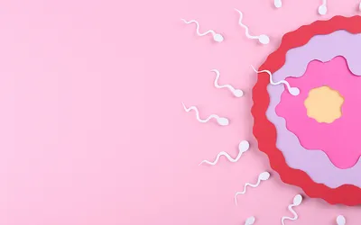 着床したかわかる方法やサインは？着床の症状やおりものの変化をわかりやすく解説