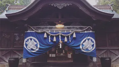 徳島でおすすめの子宝神社4選！子授け祈願できるのはどこ？ご利益や歴史なども紹介