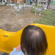 動物園×遊園地×収穫体験も！0歳連れでも楽しめた「むさしの村」