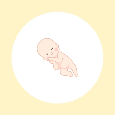 妊娠25週（7ヶ月）の妊婦・胎児の様子｜過ごし方や気になる症状