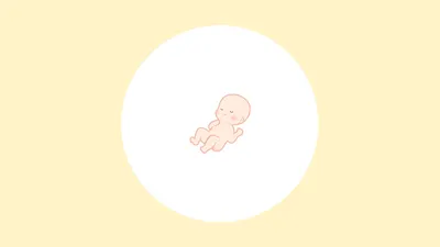 【医師監修】妊娠18週(5ヶ月)の妊婦・胎児の様子|過ごし方や気になる症状
