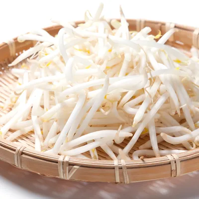【管理栄養士監修】離乳食のもやし|いつからはじめる?