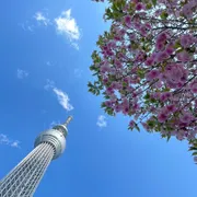 子どもが喜ぶ！自転車送迎が楽しくなる親子あそび6選