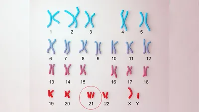 【医師監修】エコーでダウン症かわかるって本当？見え方や可能性があるときの対応を解説