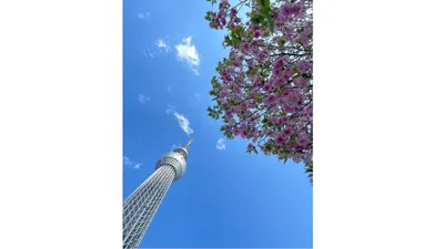 子どもが喜ぶ！自転車送迎が楽しくなる親子あそび6選