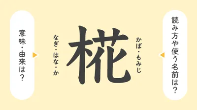 「椛」の意味や由来は?名前に込められる思いや名付けの例を紹介!