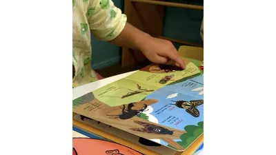 お気に入りの図鑑絵本を自分でめくる息子。好きなページは何度でも