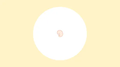 胎児とは?受精卵からどう変わる?意味や定義のほか時期別の成長過程も解説!