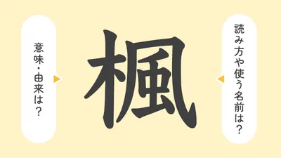 「楓」の意味や由来は?名前に込められる思いや名付けの例を紹介!