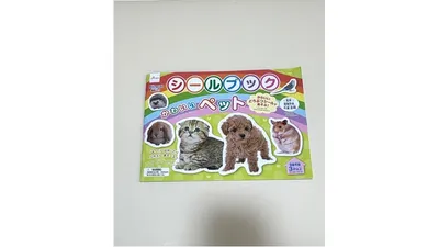 百均のおもちゃで解決