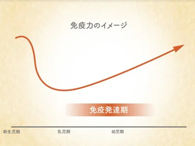 図2
