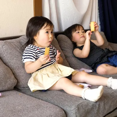 幼稚園に入った四つ子の綾ズ