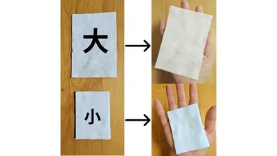 大きいサイズと小さいサイズを手のひらに乗せて比べたところ