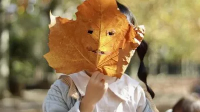 落ち葉とどんぐりで五感を育てよう♪親子で楽しむ秋あそび