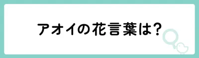 葵の花言葉は?