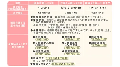 妊婦健診のスケジュールは?妊娠初期から予定日以降まで検査内容とともに解説!