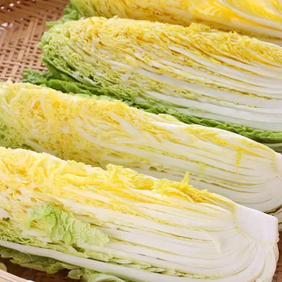 離乳初期の白菜|冷凍保存やレシピなどまとめ