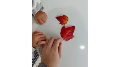 イヤイヤ期は“戦う”より“遊ぶ”！広い公園が親子の味方