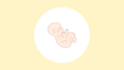妊娠27週(7ヶ月)の妊婦・胎児の様子|過ごし方や気になる症状