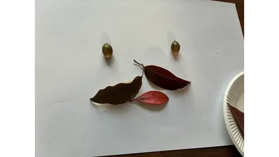 どんぐりの目に落ち葉の口。子どもが考えた顔