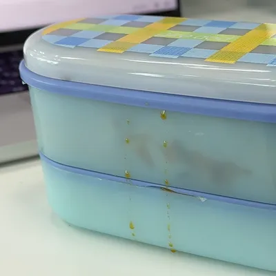 立てて運べる！薄型の便利なお弁当箱