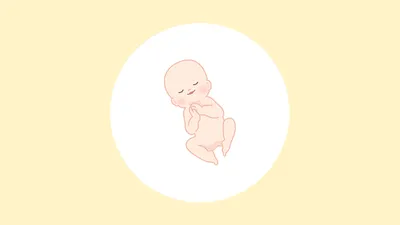 胎児とは?受精卵からどう変わる?意味や定義のほか時期別の成長過程も解説!