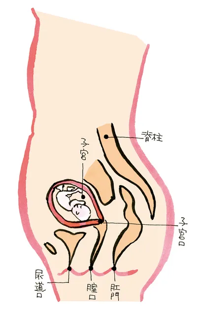 4か月のママのからだ
